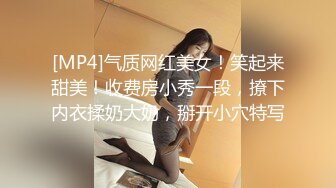 [MP4]气质网红美女！笑起来甜美！收费房小秀一段，撩下内衣揉奶大奶，掰开小穴特写