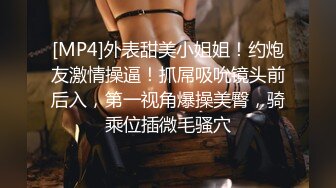 [MP4]外表甜美小姐姐！约炮友激情操逼！抓屌吸吮镜头前后入，第一视角爆操美臀，骑乘位插微毛骚穴