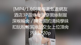 【重磅核弹】超高颜值车模女神【太子妃】SM调教露出啪啪 第一部