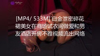 [MP4/ 533M] 白金泄密碎花裙美女在商场试衣间做爱和男友酒店开房不雅视频流出网络